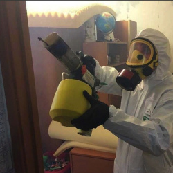 Уничтожение клопов в квартире. Североуральск